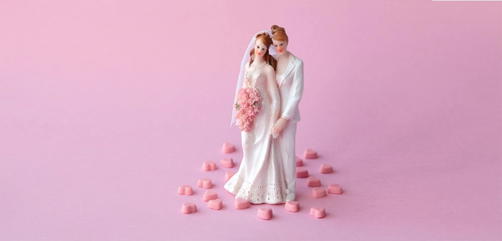 Women become first same-sex couple to marry in Austria after legalisation of marriage equality