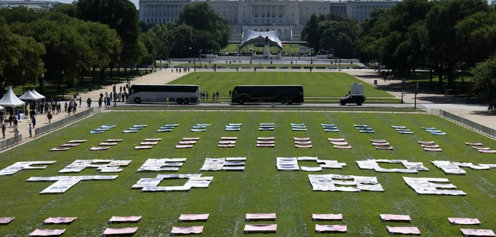 Huge Quilt For Trans Rights Laid Outside US Capitol Building