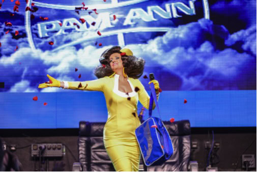 Pam Ann trollies Qantas on turbulence