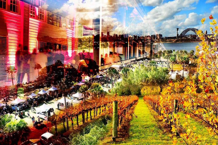 Orange Region wine, beer and food on show at Pyrmont Festival