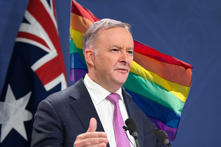 Albanese Abandons Discrimination Election Promise To LGBTQI+ People