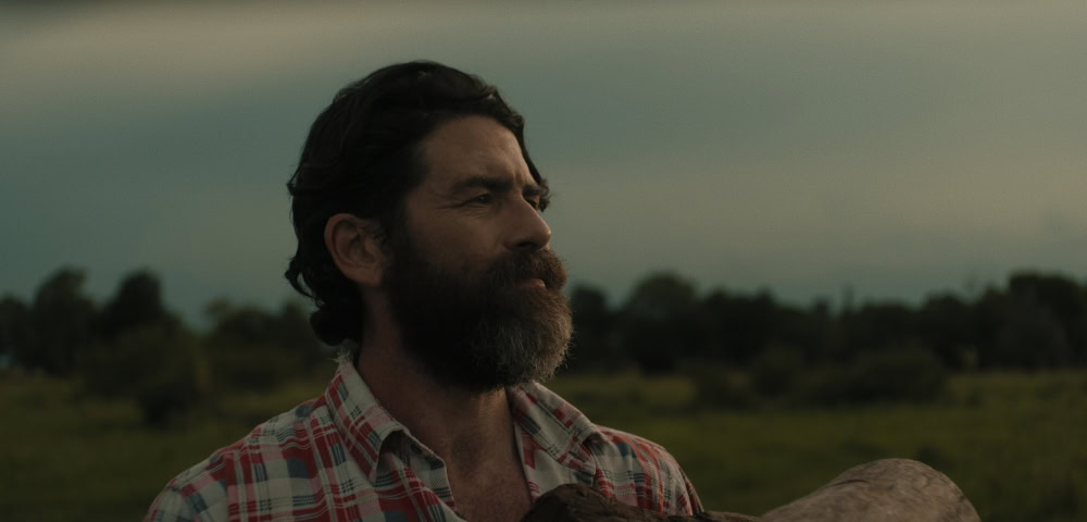 Lumber: The Queer Short Film Screening At The Near Far Film Festival