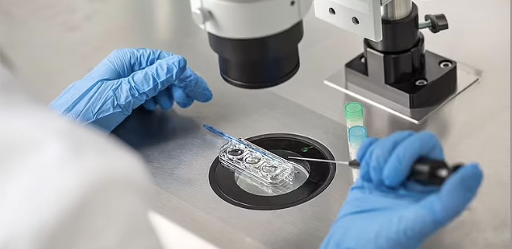 Mothers Are Calling for Urgent Reform After IVF Error Leads To Youth Suicide Attempt