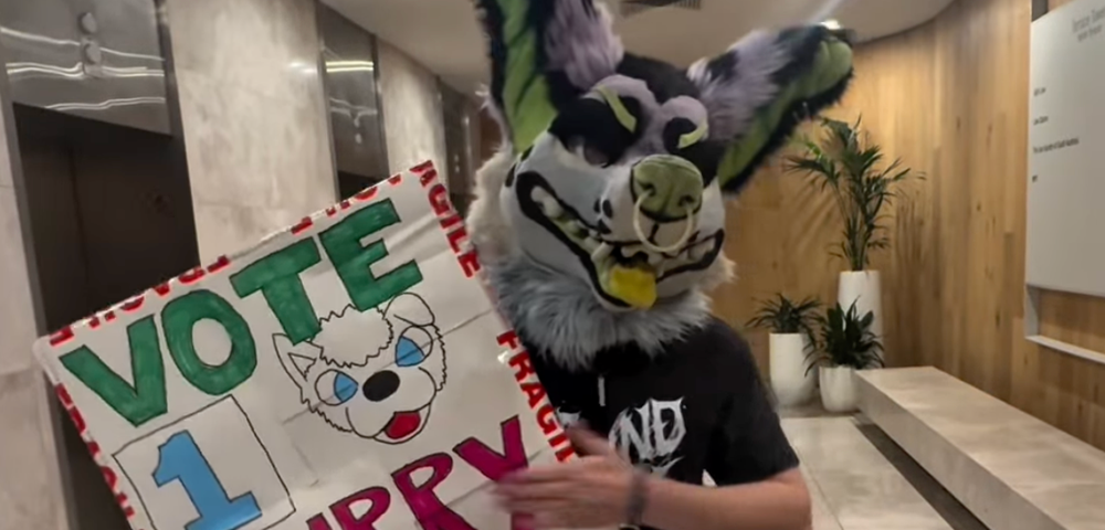 Man Dressed As A Furry Violently Attacked In The Street In Adelaide