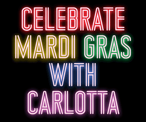 TSD9443_wk205_Mardi_Gras_300x250