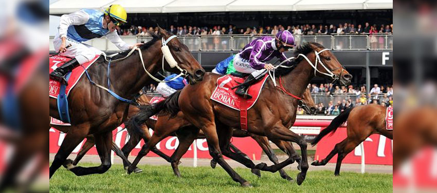 JUST FOR FUN: Which horse do you think will win the Melbourne Cup?