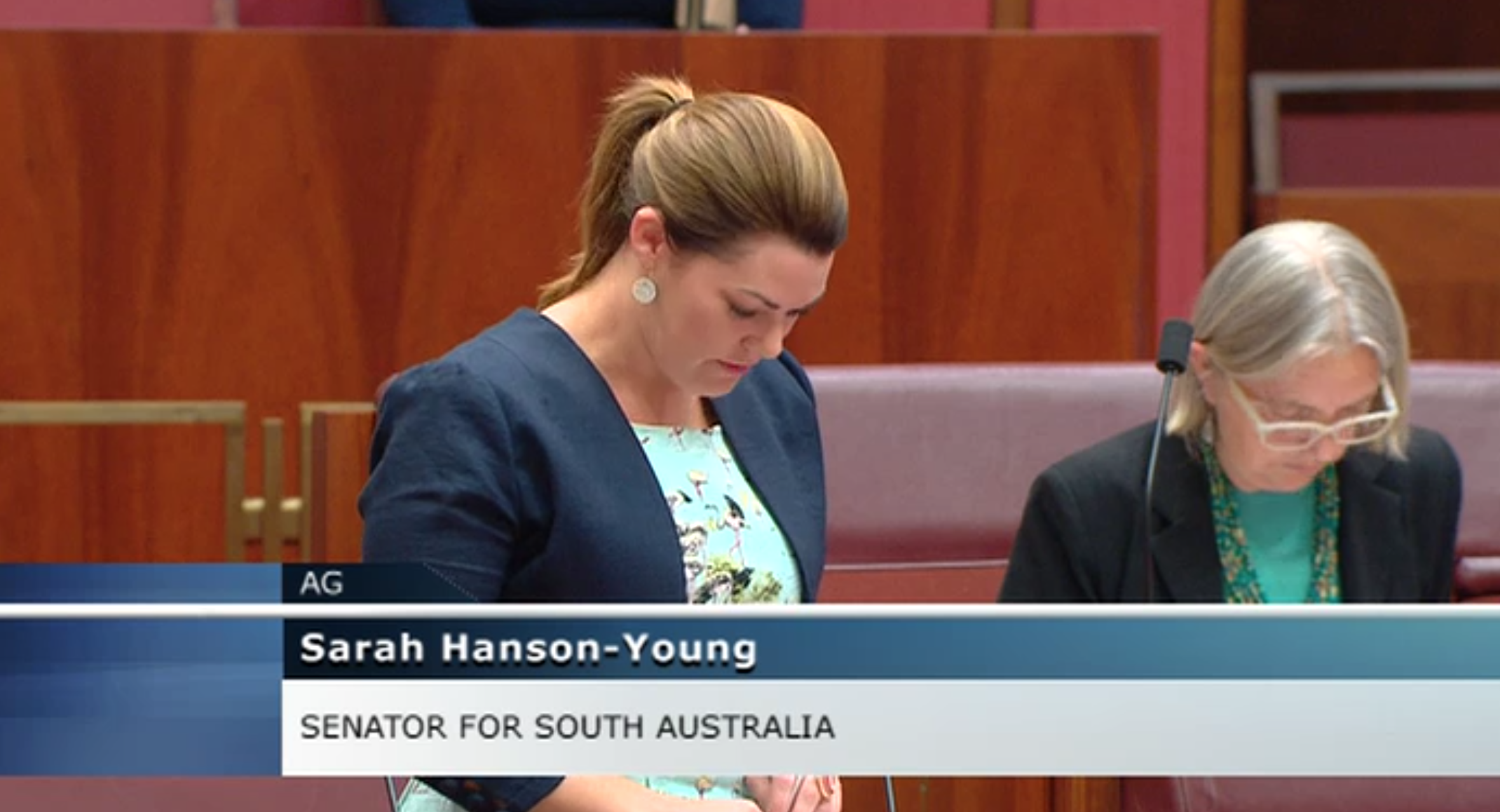 Senators go head to head over plebiscite bill