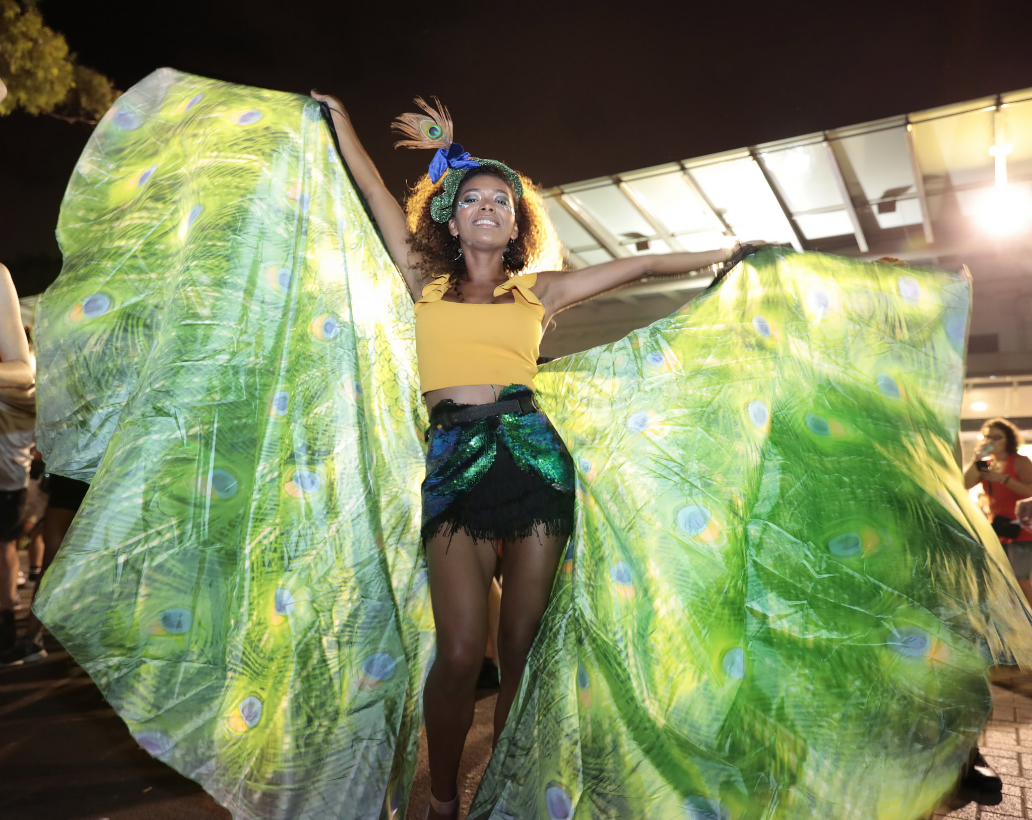 Mardi Gras Party 2019 pt 1