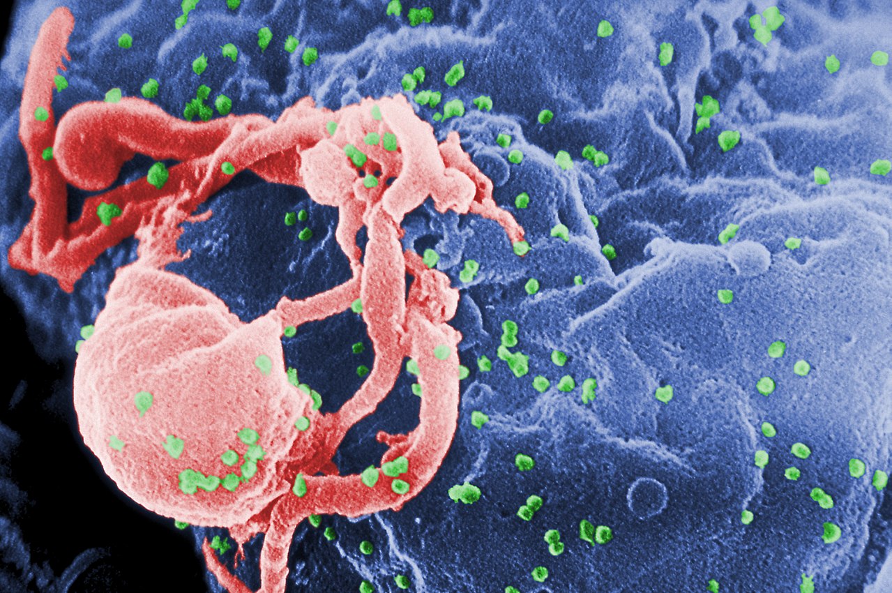 New HIV cases in Australia at five year low thanks to PrEP
