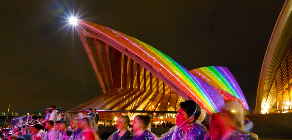 Mardi Gras’ Newest Curation: Mardi Gras+